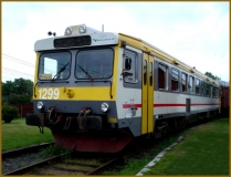 nsjm09