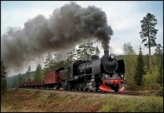 nsjm10