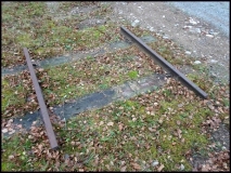 nsb05